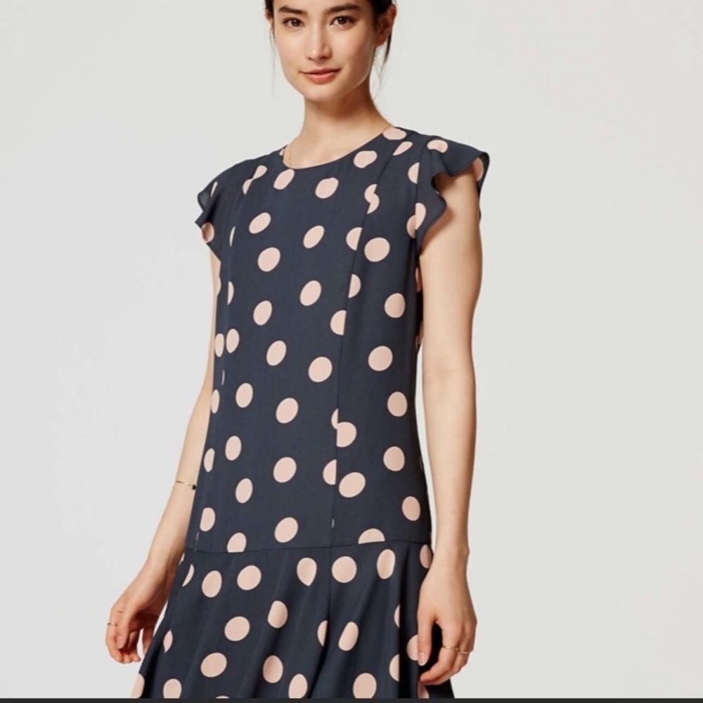 NWT LOFT Polka dot dress
